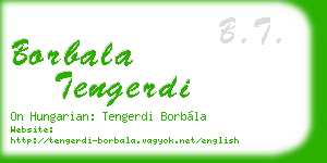 borbala tengerdi business card